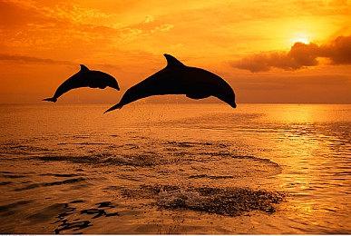 《莎木3》可能要登陆PS5、Xbox Series和Switch